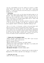 [보험론] 국제금융손실(International Loss Financing)-2