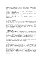 [보험론] 국제금융손실(International Loss Financing)-6