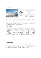 [경영정보] 포터의 경쟁세력모형 및 가치사슬 분석-대한항공 사례-8