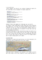 [경영정보] 포터의 경쟁세력모형 및 가치사슬 분석-대한항공 사례-17