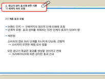 [광고이론] 광고효과 연구-7