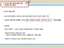 [광고이론] 광고효과 연구-8