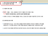 [광고이론] 광고효과 연구-12
