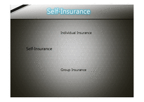 [보험론] 국제금융손실(International Loss Financing)-7