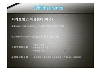 [보험론] 국제금융손실(International Loss Financing)-10