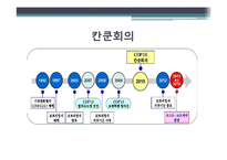 [기업윤리] 17차 기후변화협약 당사국회의의 논점과 전망-15