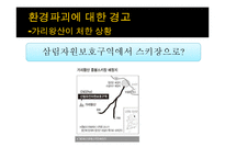 평창올림픽의 성공전략-17