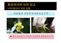평창올림픽의 성공전략-18