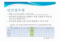 [식품위생학] 광우병의 위해성과 대책-4