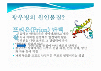 [식품위생학] 광우병의 위해성과 대책-5
