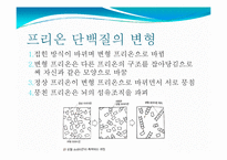[식품위생학] 광우병의 위해성과 대책-6