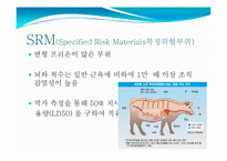 [식품위생학] 광우병의 위해성과 대책-7