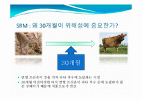 [식품위생학] 광우병의 위해성과 대책-8