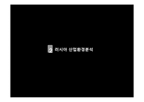 [국제경영A+] 팔도 도시락 러시아 성공기-15
