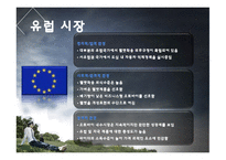 [국제경영A+] 흥진크라운 해외진출 성공사례-10