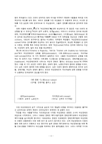 여성장애인의 실태와 사회복지서비스-4