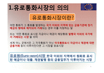 [국제재무] 유로 통화 및 유로 예금에 대해서-4