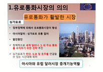 [국제재무] 유로 통화 및 유로 예금에 대해서-6