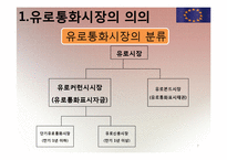 [국제재무] 유로 통화 및 유로 예금에 대해서-7