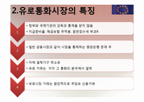 [국제재무] 유로 통화 및 유로 예금에 대해서-9