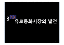 [국제재무] 유로 통화 및 유로 예금에 대해서-10