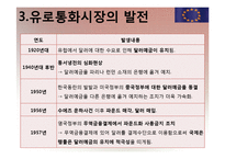 [국제재무] 유로 통화 및 유로 예금에 대해서-11
