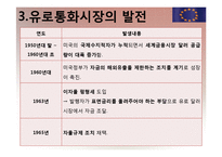 [국제재무] 유로 통화 및 유로 예금에 대해서-12