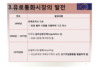 [국제재무] 유로 통화 및 유로 예금에 대해서-13