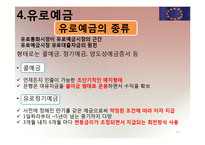 [국제재무] 유로 통화 및 유로 예금에 대해서-15
