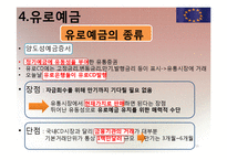 [국제재무] 유로 통화 및 유로 예금에 대해서-16