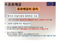 [국제재무] 유로 통화 및 유로 예금에 대해서-18