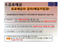 [국제재무] 유로 통화 및 유로 예금에 대해서-19