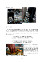 인도의 음식, 문화, 소고기의 금기, 수식 문화, 음식 문화, 특징, 현황, 사례, 관리, 시사점, 총체적 조사분석-5