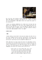 인도의 음식, 문화, 소고기의 금기, 수식 문화, 음식 문화, 특징, 현황, 사례, 관리, 시사점, 총체적 조사분석-6