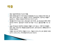파리크라상 창업성공사례, 성공적인 경영전략 및 마케팅전략과 성공배경, 운영현황, 조직구성, 시장현황 조사분-17