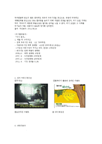 [마케팅] `바나나는 원래 하얗다` 세부전략-4