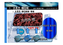 스포츠 미디어 산업 및 종사자 조사-4