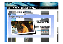 스포츠 미디어 산업 및 종사자 조사-8