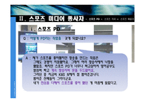 스포츠 미디어 산업 및 종사자 조사-10