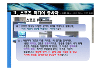 스포츠 미디어 산업 및 종사자 조사-12