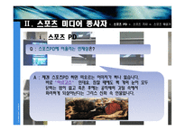 스포츠 미디어 산업 및 종사자 조사-16