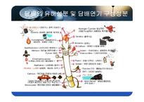 [성인간호학] 폐암의 원인과 흡연의 위험요인-4