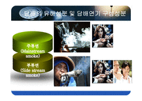 [성인간호학] 폐암의 원인과 흡연의 위험요인-5