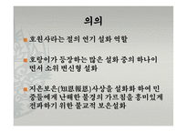 동아시아 문학과 불교-한국의 설화 분석(삼국유사, 김현감호, 조신의 꿈, 남백월의 두성인)-7