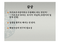 동아시아 문학과 불교-한국의 설화 분석(삼국유사, 김현감호, 조신의 꿈, 남백월의 두성인)-9