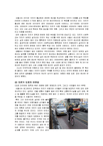 [사회학] 자전거도로의 정책현황 및 문제점과 해결방안 연구-5