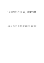 [사회학] 자전거도로의 정책현황 및 문제점과 해결방안 연구-10
