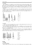 [역사학] 삼한시대 청동의기-6