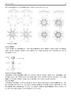 [역사학] 삼한시대 청동의기-10