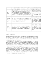 지속 가능한 문화 확산과 미디어의 역할-3